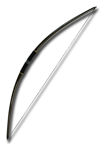 IDV Larpbogen